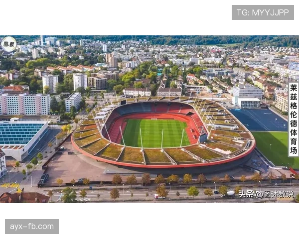 瑞士球迷以红十字精神点亮世界杯赛场，用爱与支持诠释团结与竞技力量