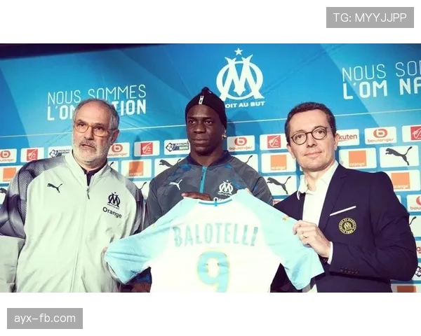 巴洛特利职业生涯回顾：坚持与起伏交织的传奇历程引人深思