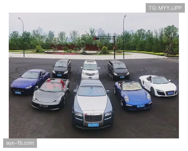 杨力维今天又换豪车了？普通人光是停车费都要哭了吧！